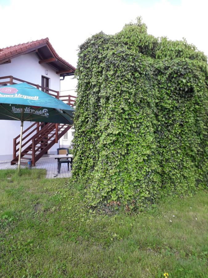 Penzion A Restaurace U Strnada Клатови Экстерьер фото